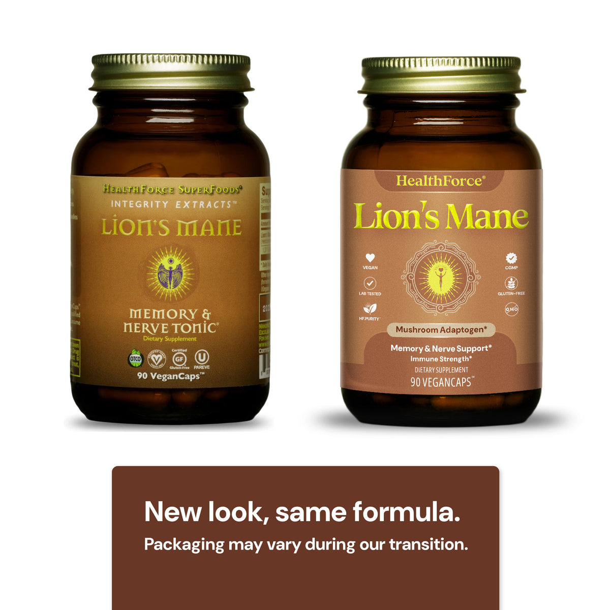 Lion's Mane